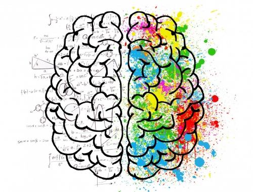 Coaching cerveau brain_mind_psychology_idea_hearts_love_drawing_split_personality-1370218.jpg