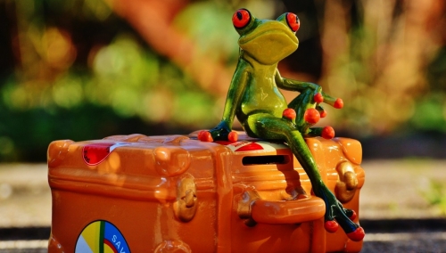 Grenouille prête à partir sur sa valise